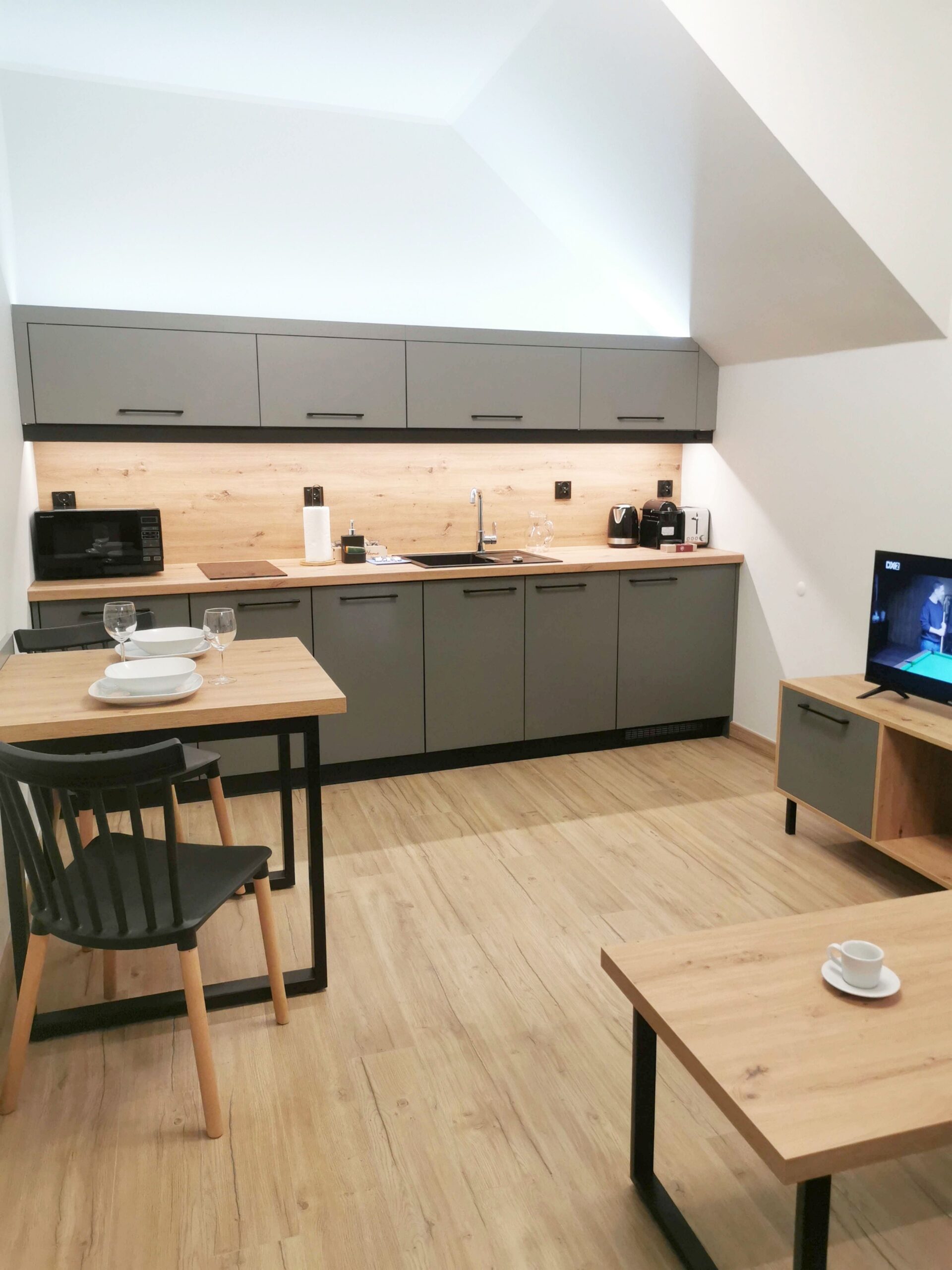 Apartament Karkonosz „Śnieżka”